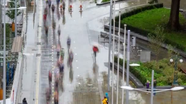 Tiempo Inclinación Los Corredores Maratón Corriendo Por Centro Ciudad — Vídeos de Stock