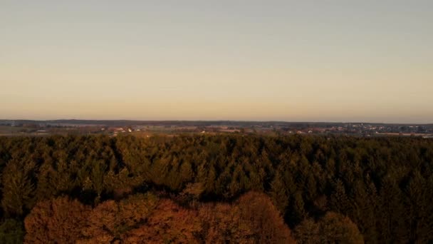 Vista Aerea Una Foresta Nella Zona Pianeggiante Bavarese Durante Ore — Video Stock