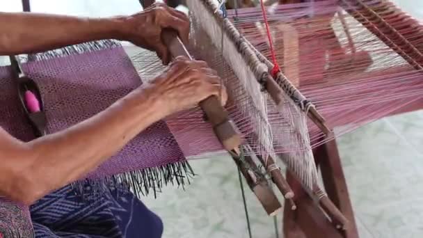 Making Papyrus Mats Udonthani Province Thailand — Stok video