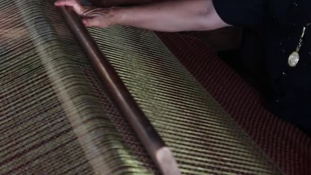 Making Papyrus Mats Udonthani Province Ταϊλάνδη — Αρχείο Βίντεο