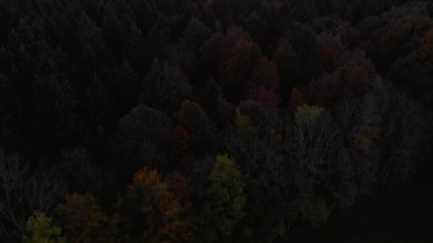 Aerial Clip Forest Bavarian Alps Area Camera Tilt Reveal Mountains — Stock video