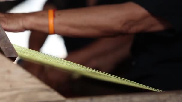 Making Papyrus Mats Udonthani Province Thailand — Stok video