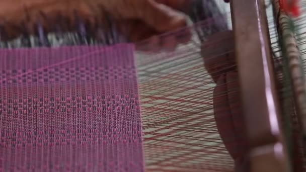 Making Papyrus Mats Udonthani Province Thailand — Vídeo de stock