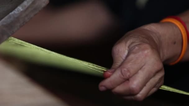 Making Papyrus Mats Udonthani Province Thailand — Vídeo de Stock