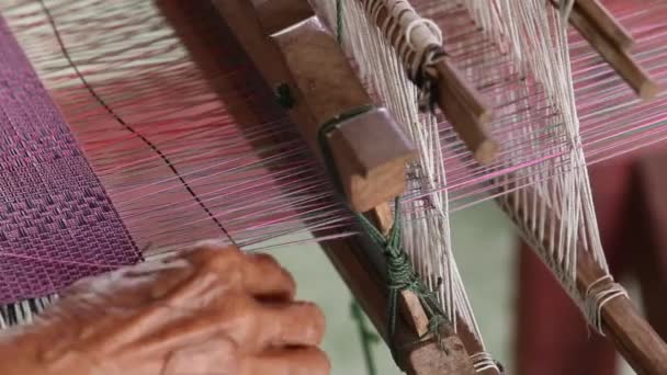 Making Papyrus Mats Udonthani Province Thailand — Stockvideo