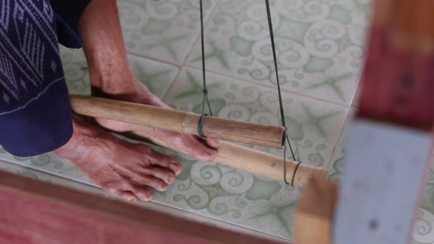 Making Papyrus Mats Udonthani Province Thailand — Stockvideo