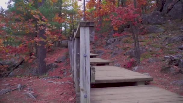 Переход Прямой Снимок Деревянной Лестницы Доске Прогулки Лесу Осенью Боковому — стоковое видео