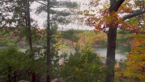 Slow Forward Shot Forest Autumn Lake Distance Boardwalk Lookout — Stockvideo