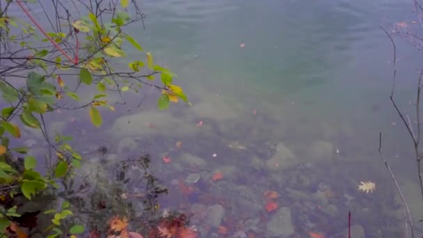 Slow Pan Upwards Left Lake Trails Board Walks Other Side — Stock video