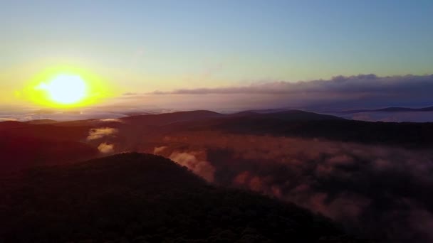 Nagranie Dronów Spektakularnego Wschodu Słońca Nad Gęstym Lasem Pokrytym Rozwaloną — Wideo stockowe