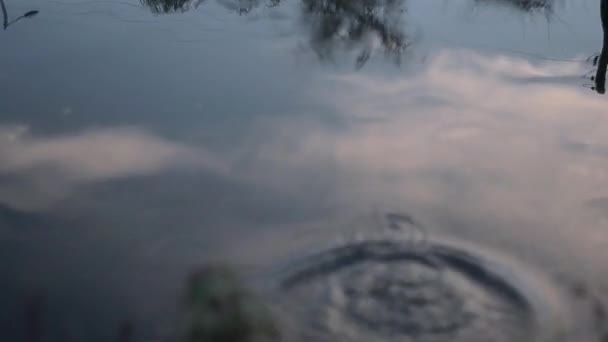 Pebble Water Creates Ripples Reflection Sky — Stock Video