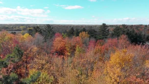 Langzame Luchtbeelden Boven Warm Gekleurde Herfstbomen Een Bos Naast Een — Stockvideo