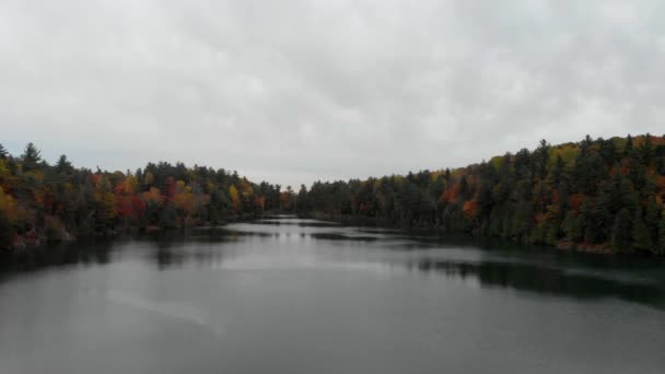 Pomalé Nízké Letecké Záběry Přes Růžové Jezero Gatineau Quebec Stromy — Stock video