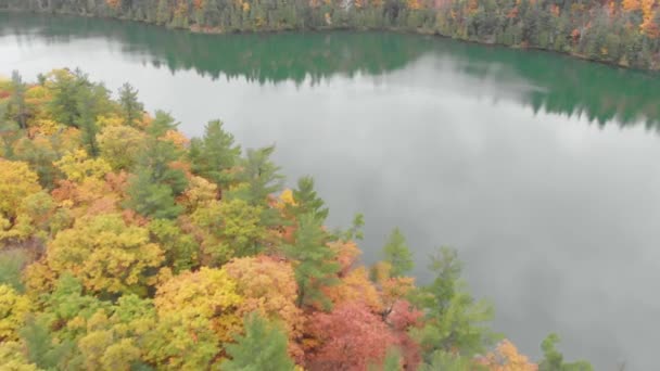 Steigende Pfanne Zur Linken Luftaufnahme Über Einem Herbstlichen Wald Neben — Stockvideo