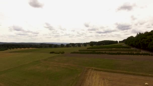 Drone Flight Agriculture White Space Sky — Vídeo de Stock