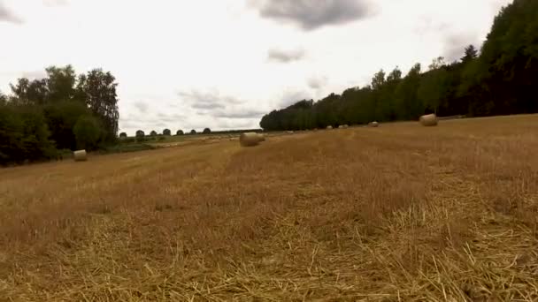 Drone Flight Crops Fields Empty White Space Sky Titles — Video Stock