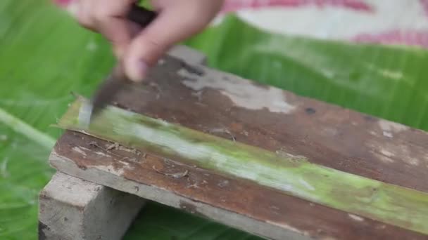 Banana Fiber Cloth Making Banana Fiber — 图库视频影像