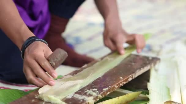 Производство Банановой Ткани Бананового Волокна — стоковое видео