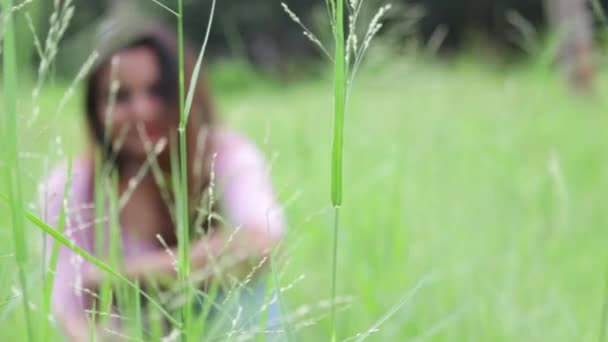 Rack Focus Shot Beautiful Indian Woman Sitting Tall Grass Field — Stockvideo