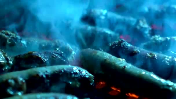 Sweating Sausages Smoking Hot Grill Red Fire — Vídeo de Stock