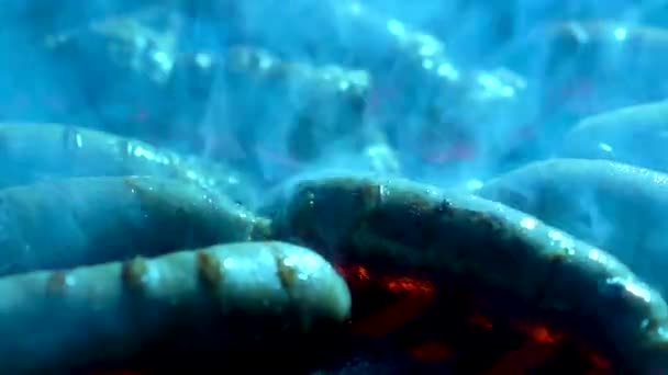 Izzadt Kolbász Füstöl Egy Forró Grillen — Stock videók