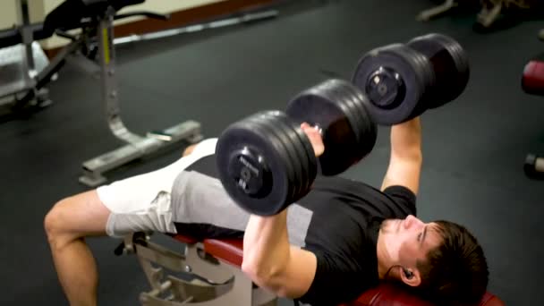 Rear Shot Teen Bodybuilder Lies Bench Presses Large Heavy Dumbbells — Video Stock