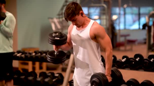 Closeup Young Bodybuilder Doing Hammer Curl Exercises Heavy Dumbbells — Αρχείο Βίντεο