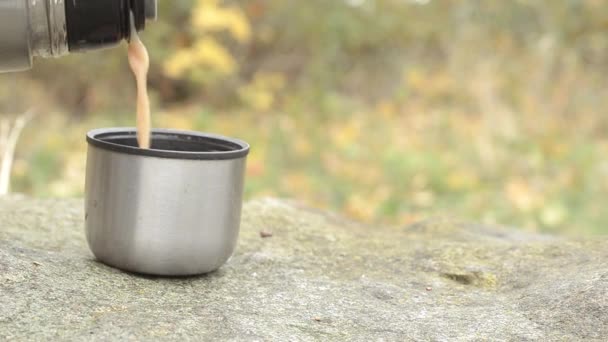 Flask Tea Poured Chilly Day — Video Stock