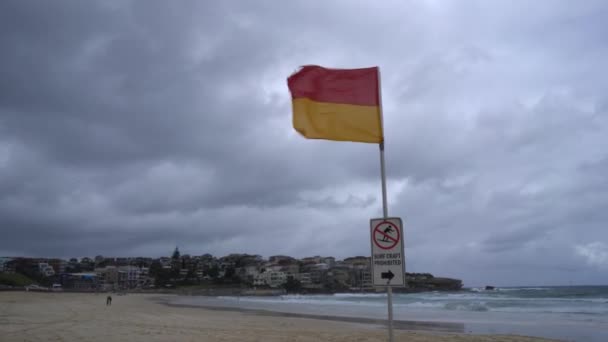 Empty Sydney Bondi Surfing Beach Zombie Apocalypse New South Wales — Stock video
