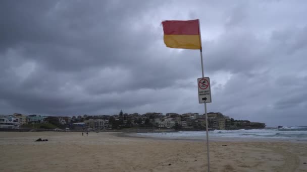 Пустой Сиднейский Серфинг Пляж Бонди Зомби Апокалипсис Новом Южном Уэльсе — стоковое видео