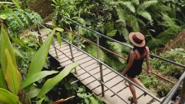 Bali Girl Crosses River Wooden Bridge Tropical Forest Rice Terraces — Video