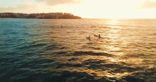 Tracking Aerial Shot Some Kayakers Bondi Beach Sunrise — Wideo stockowe