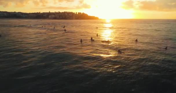 Static Aerial Shot Several Surfers Bondi Beach Sunrise — Video