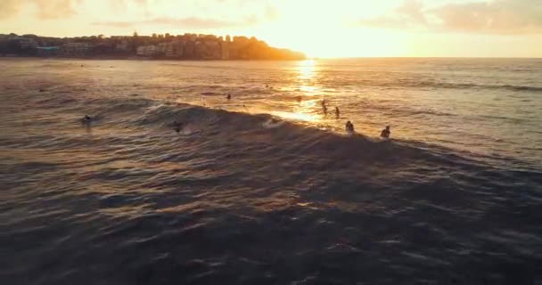 Aerial Shot Surfer Bondi Beach Sunrise Catching Wave — стокове відео