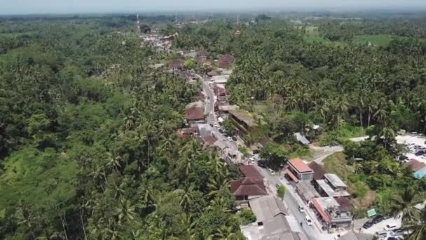 Flying Road Jungle Small Town Surrounded Palm Trees Rice Terraces — Stockvideo