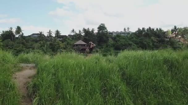 Slow Motion Shooting Beautiful Girl Running Path Rice Field Background — Vídeo de Stock