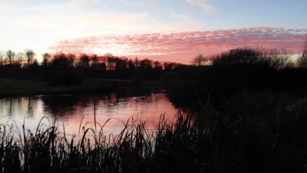 Вид Повітря Качок Плавають Озері Красивому Заході Сонця — стокове відео
