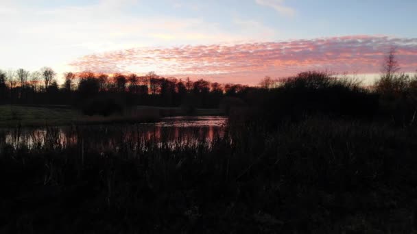 Aerial View Ducks Swimming Lake Beautiful Sunset — Stock Video