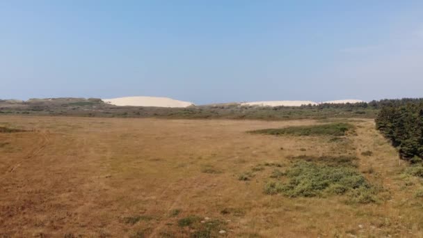 Aerial View Big Dunes Greenery North Sea Shoreline Lkken Denmark — Vídeo de Stock