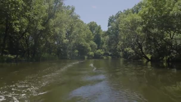 Fast River Cruise Natural Preservation Area — Stockvideo