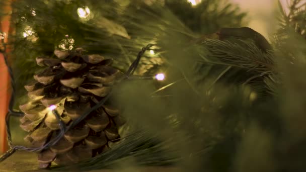 Christmas Pine Chinmey Inbetween Lights — Video Stock