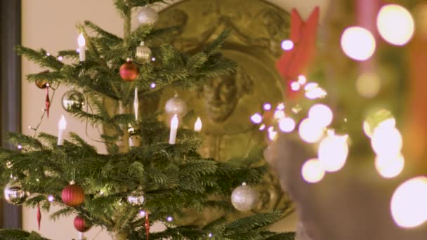 Cozy Christmas Tree Closeup — Stockvideo