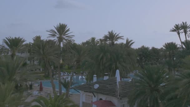 Sunrise Hotel Palm Trees — Video Stock