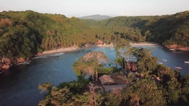 Terbang Atas Pulau Kecil Tak Berpenghuni Lautan Hanya Beberapa Pohon — Stok Video