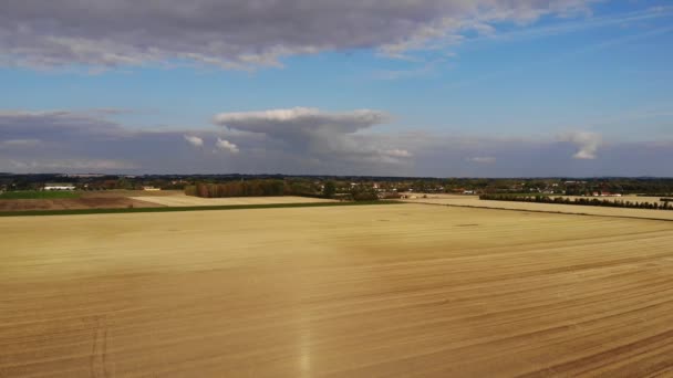 Aerial View Golden Fields Brown Mold Close Sejerbugten Odsherred — ストック動画