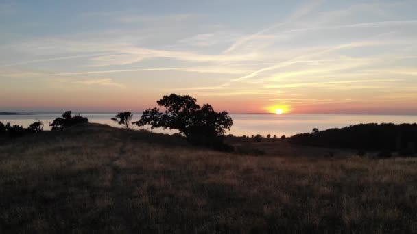 Aerial View Sejerbugten Beautiful Sunset — Vídeo de Stock