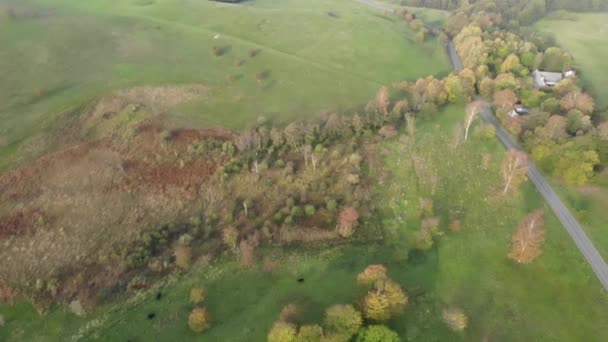 Aerial View Beautiful Green Hills Cows Odsherred Denmark — Vídeo de stock