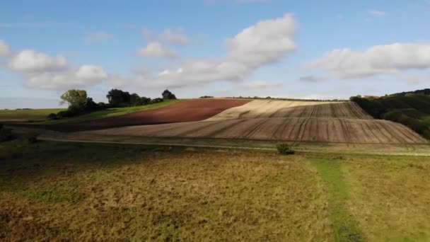 Aerial View Golden Fields Brown Mold Close Sejerbugten Odsherred — Stockvideo