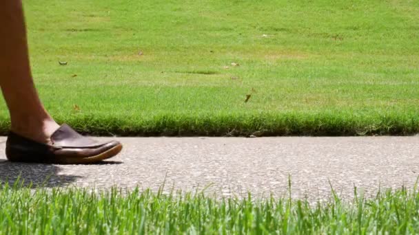 Low Angle Close Shot Feet Walking Sidewalk Surrounded Grass Shot — Vídeo de stock