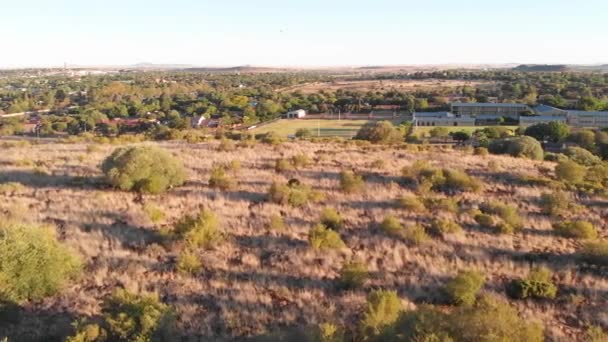 Drone Fly Filed Sunny Day — Video